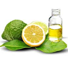 Organic Bergamot Citrus Earl Grey Tea with Natural Italian Bergamot Oil for Autophagy and Detox, 24 Bio-degradable Pyramid Tea Bags